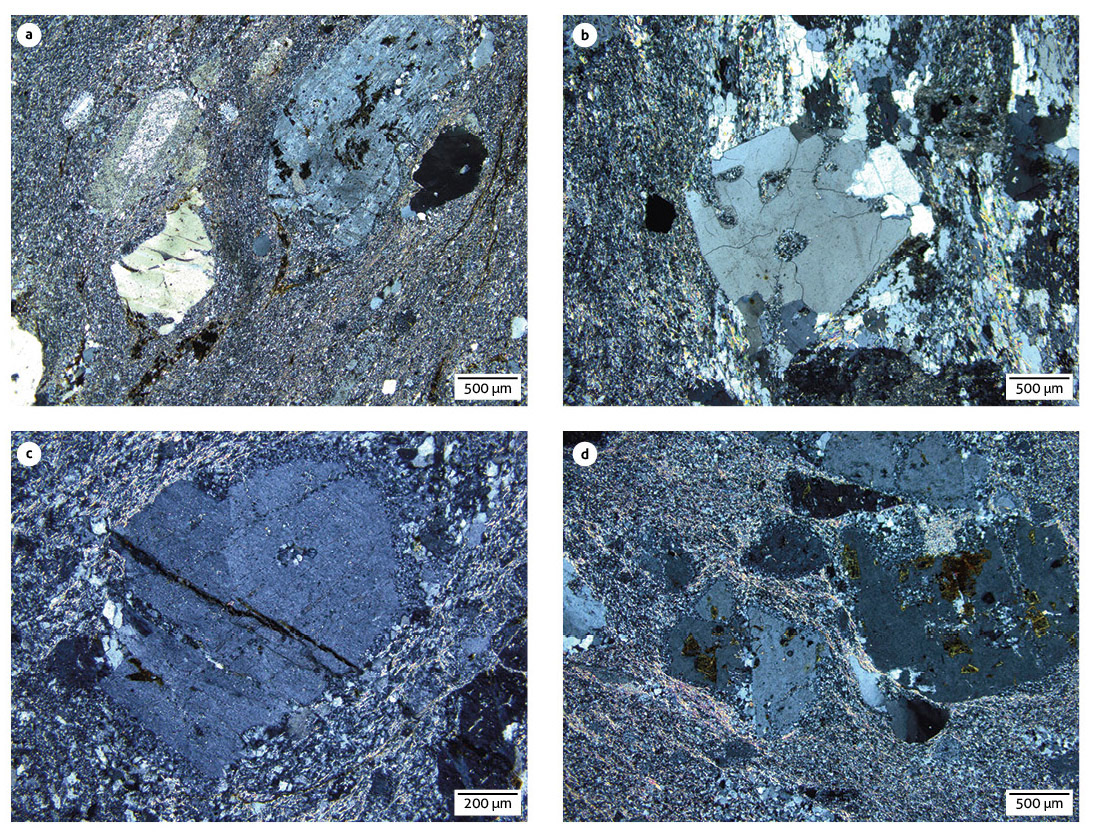 Microscopic aspect of quartz (Qz), plagioclase (Pl) and alkaline feldspar (Fsp) porphyroclasts within a microcrystalline matrix (M)