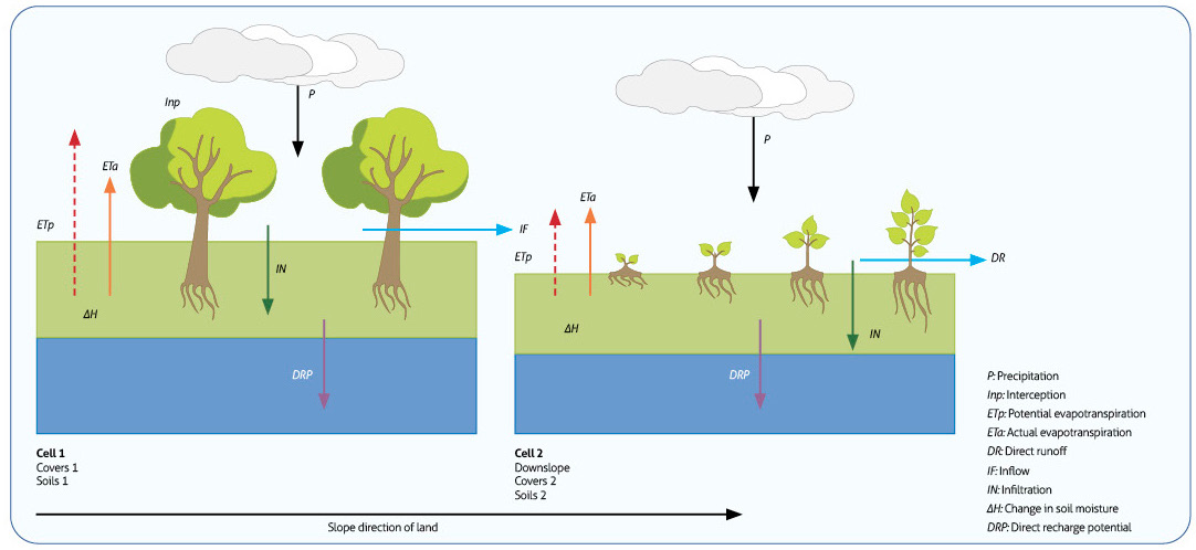 Diagram representing the soil–plant control volume cell by cell in the SWB model domain and the elements of the soil moisture balance involved in the estimation of the direct potential recharge. Source: Bastidas (2019).