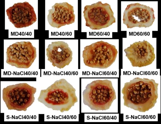 Apariencia de los prototipos deshidratados.