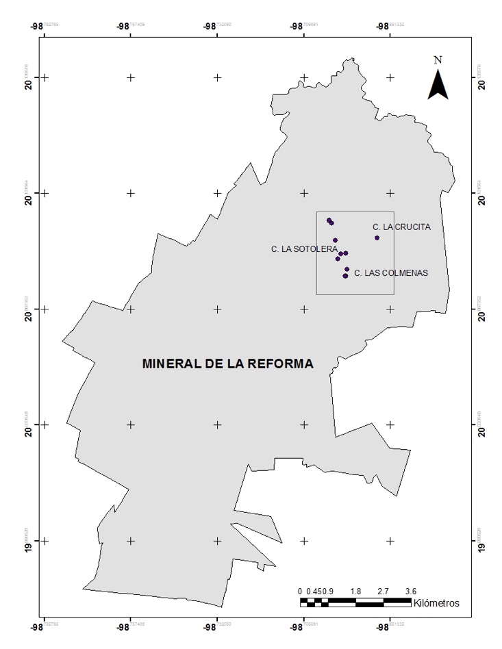 Mapa de localización mostrando la zona de estudio recuadro El polígono sombreado corresponde al área del municipio Mineral de la Reforma Hidalgo Los puntos negros indican las estaciones de campo