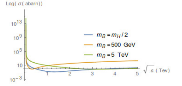 The cross section for
the process BB→γγ for different values of mass in
logarithmic scale.