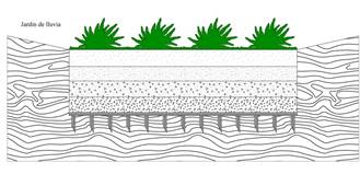 Figura 3. Corte transversal de un jardín de lluvia en el que se observan las
capas de los materiales filtrantes y la vegetación en la superficie.