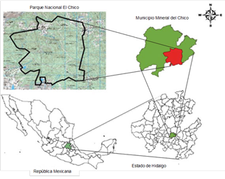 

Figura 2. Ubicación geográfica del Parque Nacional “El Chico” Hidalgo,
México. Línea roja indica área seleccionada para el estudio.  

 