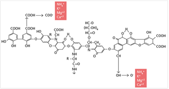 Figura 7. Estructura molecular
propuesta para AH extraídos (tomada de Ales, 2014; Louzada
et Coehlo, 2016)