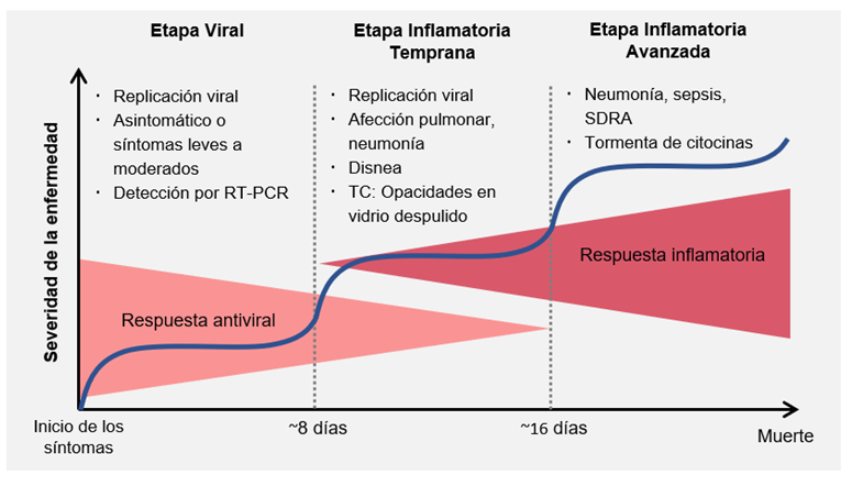 Figura 1. Historia natural de
la enfermedad.