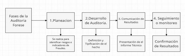 Fases de
la auditor&iacute;a