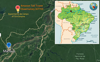 Location of the Amazon Tall Tower Observatory (ATTO) project and the ATTO-Campina field experiment