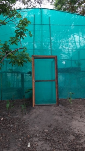 Ubicación del mariposario