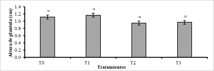 Prueba de Tukey (P<0,01), para la altura de
plántulas de Phragmipedium kovachii, considerando el promedio general de las seis
fechas de evaluación (cada quince días), donde las letras iguales no difieren
estadísticamente entre sí