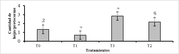Prueba de Tukey (P<0,01), para el número de hojas por protocormo de Phragmipedium kovachii, considerando el promedio general de las
seis fechas de evaluación (cada quince días), donde las letras diferentes
difieren estadísticamente entre sí