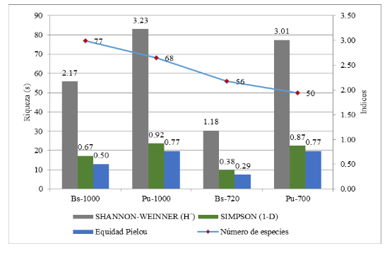 Valores de número de especies, diversidad
(H’), equidad (J’) y dominancia de insectos distribuidos por estación de
muestreo.