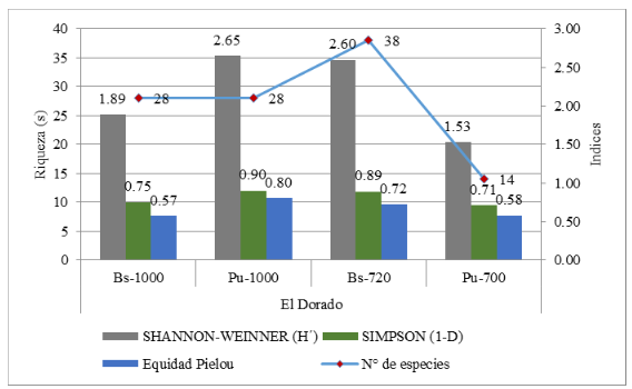 Valores de número de especies, diversidad
(H’), equidad (J’) y dominancia de insectos distribuidos por estación de
muestreo