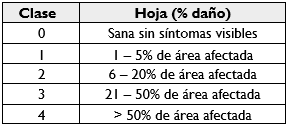 Escala de
severidad de la roya del cafeto en las hojas