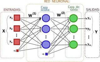 Red Neuronal Artificial
