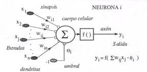 Neurona Artificial