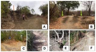 Alteraciones físicas ocasionados por el ciclismo
  de montaña; A) Rampa natural, B) Rampa artificial, C- D) Compactación del
  suelo, E) Pérdida de vegetación, F) Erosión del suelo por escorrentía del
  agua.