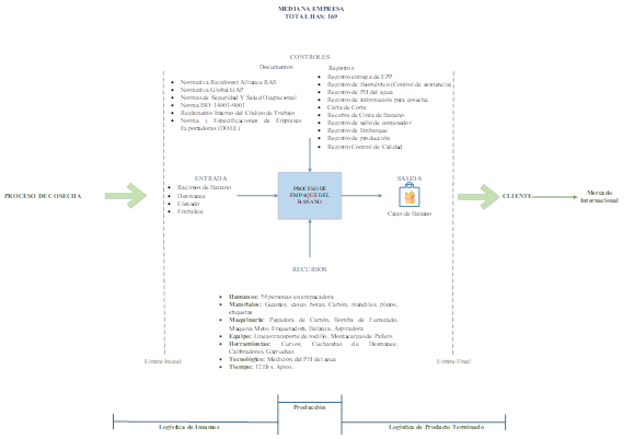 Enfoque de Proceso