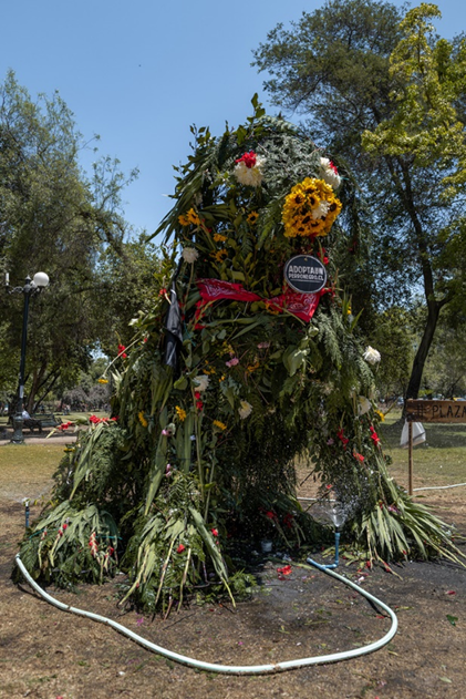 Parque Balmaceda.
Horas antes de esta captura, la primera versión de la escultura del Negro
Matapacos fue incendiada. En forma colectiva, anónima y autoconvocada, se
interviene la estructura remanente con vegetación, haciéndola florecer.