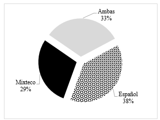 Figura 4. Lengua que los adultos hablan en la casa