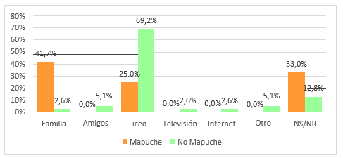 Gráfico 11: Fuentes de información sobre el mapuzugun (solo asistentes al TLCM)