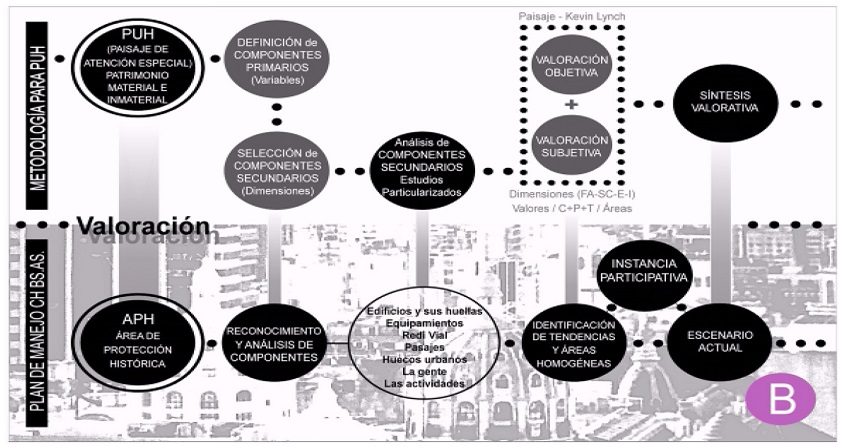 Confrontación: Metodología / Plan de manejo en etapa de valoración