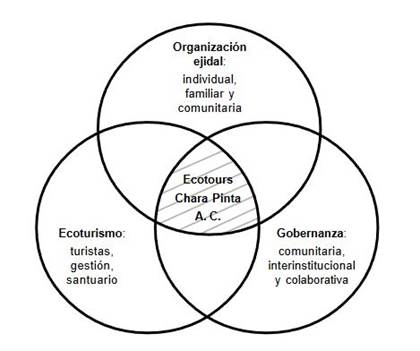 Interdependencia de los componentes