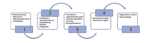 Fases y elementos