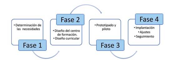 Fases de fases de desarrollo