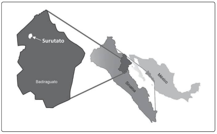 Mapa de ubicaci&oacute;n de Surutato