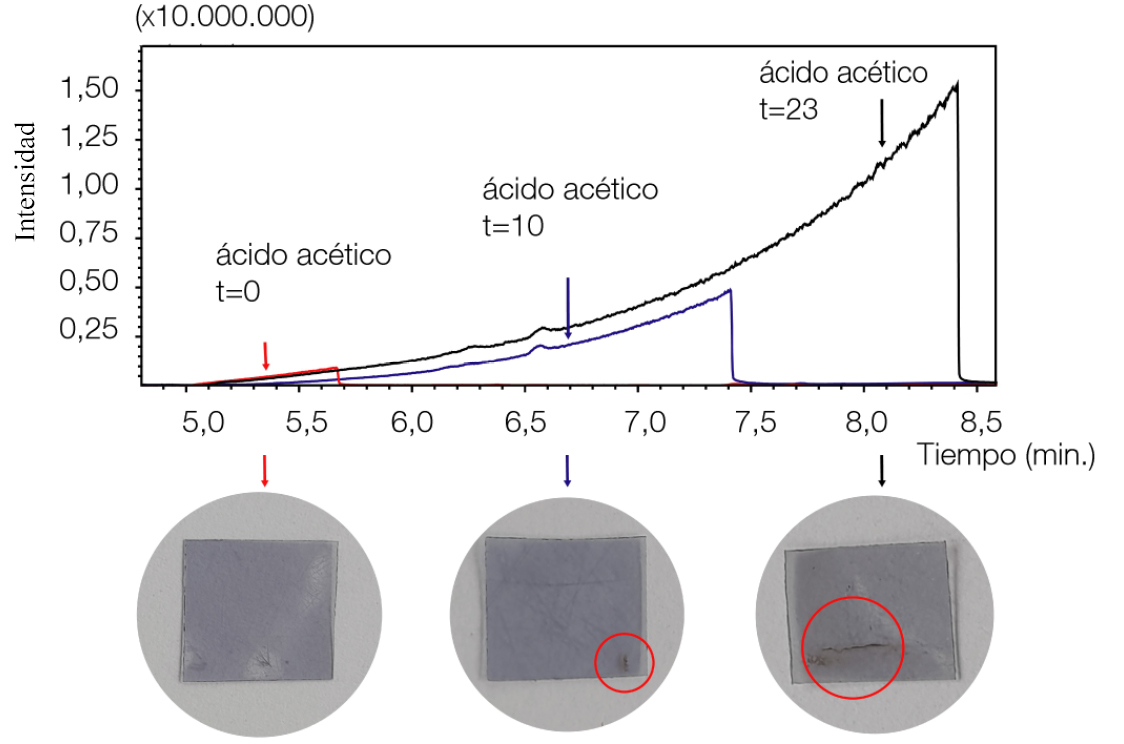 Cromatogramas de las muestras donde t indica cantidad de días de envejecimiento acelerado a los que fueron sometidas 80°C y 100 %HR Rojo t0 Azul t10 Negro t23 En las fotografías de las respectivas muestras de CA se pueden observar distintos signos de envejecimiento a los distintos tiempos junto con el área de los picos cromatográficos correspondientes a las emanaciones de ácido acético