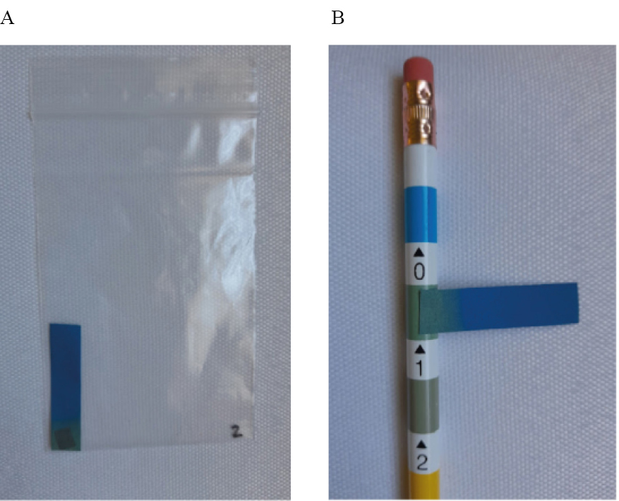 A Cambio de color en la tira reactiva que estuvo en contacto con la muestra nº 2 B Confrontación del color de la tira reactiva con los patrones de referencia