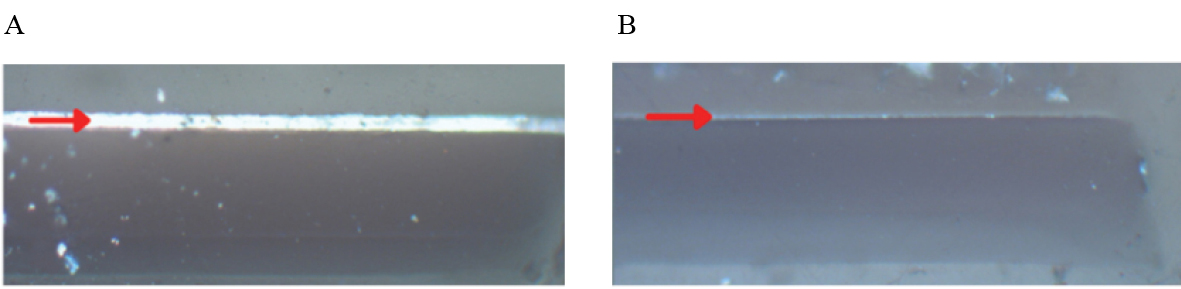 Registro con iluminación epi a 200x A Muestra sin tratamiento de remoción de la emulsión B Muestra con tratamiento de remoción de la emulsión
