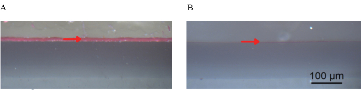 Registro con iluminación epi a 200x A. Muestra sin tratamiento de remoción de la emulsión teñida con fucsina ácida B. Muestra con tratamiento de remoción de la emulsión teñida con fucsina ácida.
