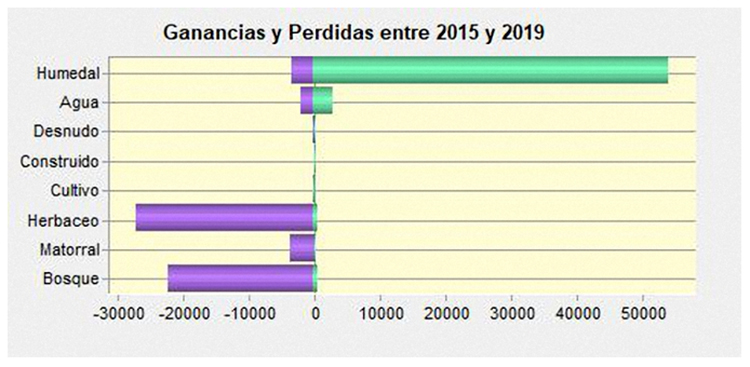 Ganancias
y pérdidas (ha) de las coberturas analizadas entre 2015 y 2019.