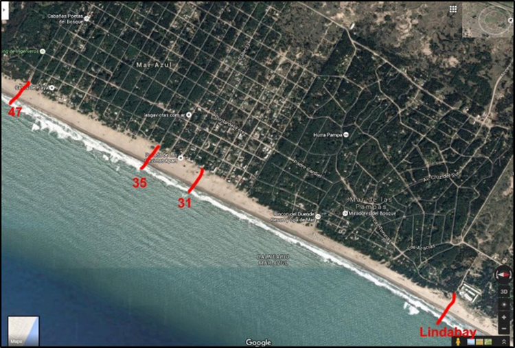 Ubicación de los perfiles de playa.