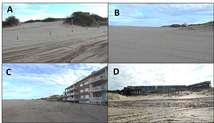 Fotografías de las zonas de medición. A)
47 y Playa; B) 35 y Playa; C) 31 y Playa; D) Lindabay.