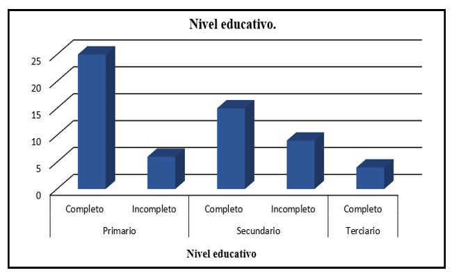 Nivel educativo alcanzado