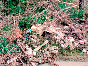 Micro-basurales, imagen A , Paraje Tres Horquetas - Chaco