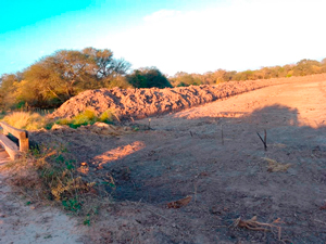 &Aacute;reas de esteros
modificadas, Paraje Tres Horquetas &ndash; Chaco