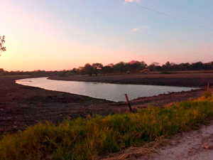&Aacute;reas de esteros
modificadas, Paraje Tres Horquetas &ndash; Chaco