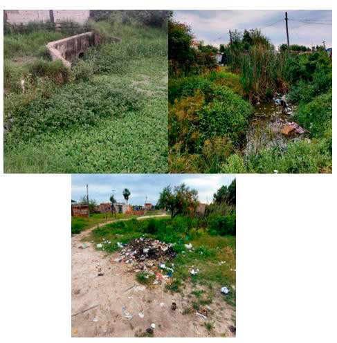 Desag&uuml;es en lagunas, aguas estancadas y basural a cielo abierto.