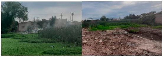 Quema y relleno en sector de la laguna