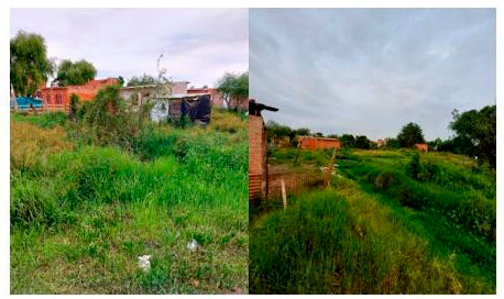 Viviendas en zonas bajas.