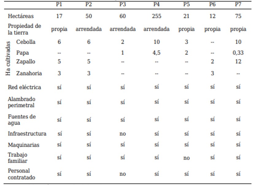 Caracterización de los productores: matriz abreviada de datos