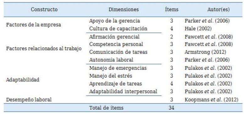 Resumen de constructos, dimensiones y autores