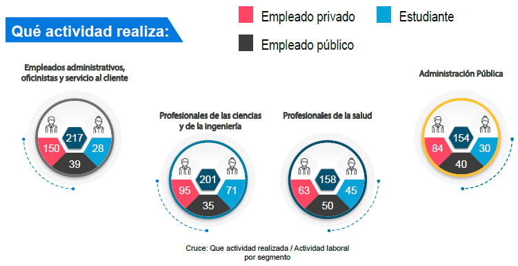  Actividad laboral en funci&oacute;n del segmento