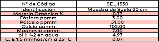 Informe de análisis físico – químico, del suelo en el área de estudio.