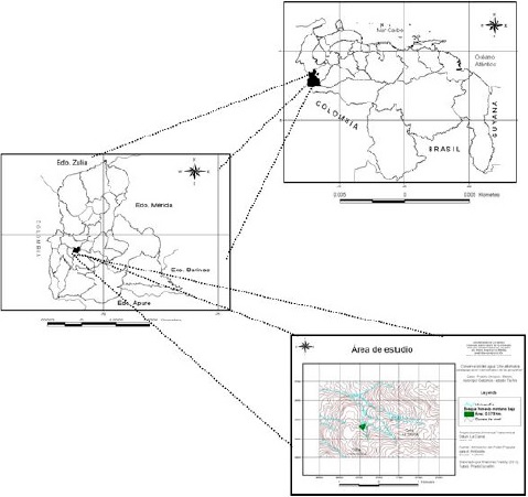 Situación relativa del área en estudio