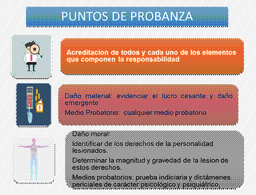 Puntos
de probanza del daño moral.