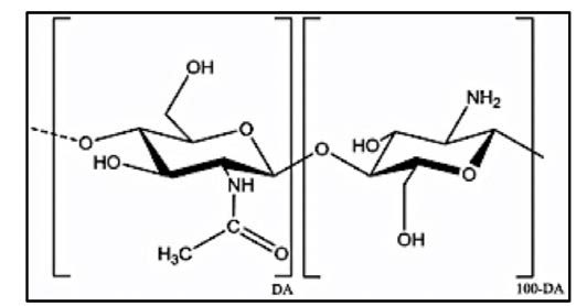 Estructura
química de las unidades repetitivas de quitosano